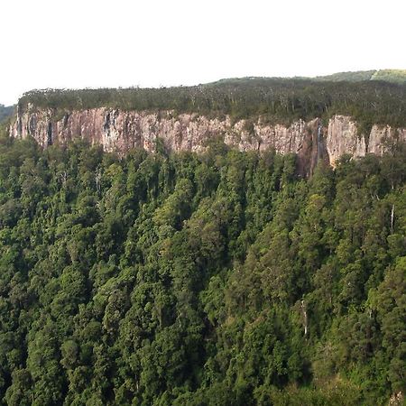 Springbrook Lyrebird Retreat Vila Exterior foto