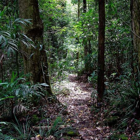 Springbrook Lyrebird Retreat Vila Exterior foto