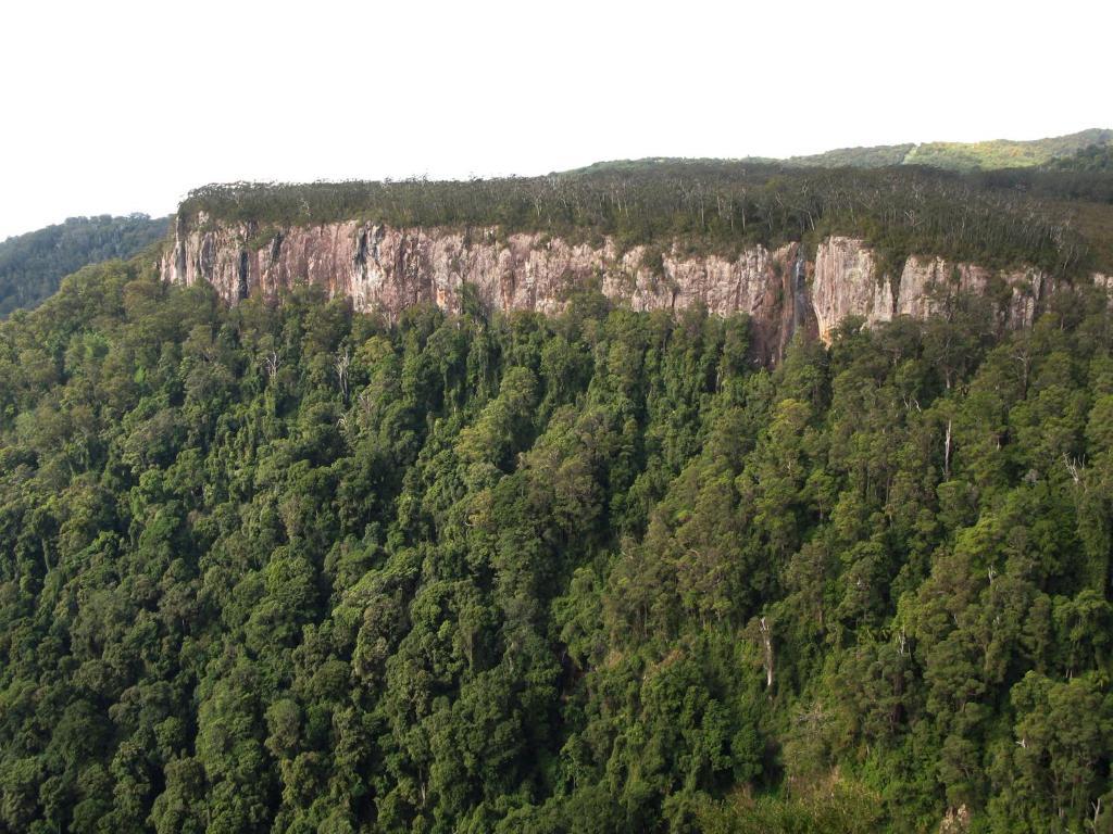 Springbrook Lyrebird Retreat Vila Exterior foto