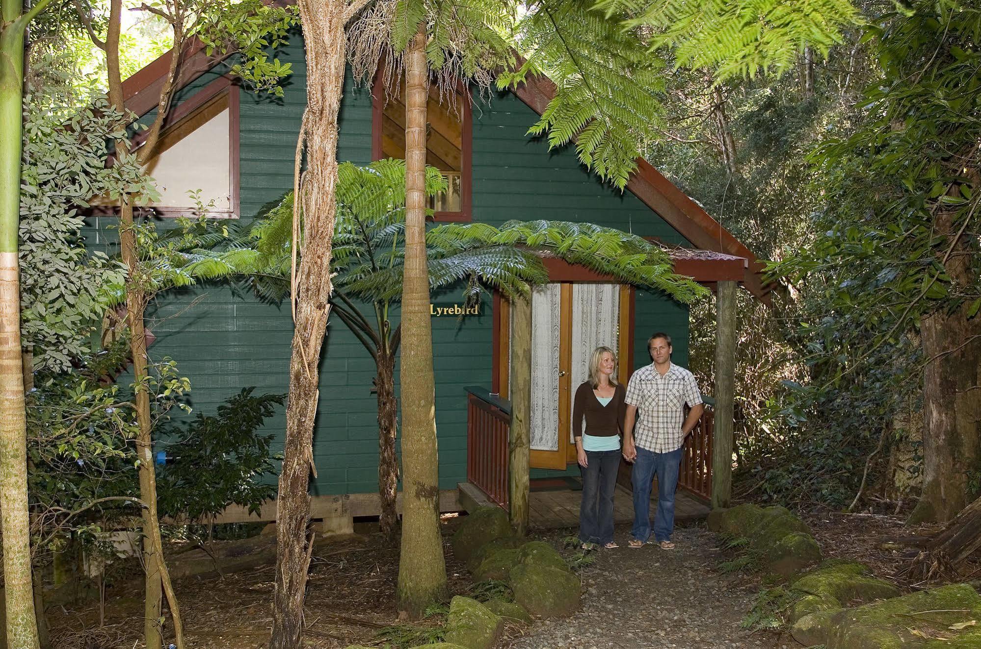 Springbrook Lyrebird Retreat Vila Exterior foto