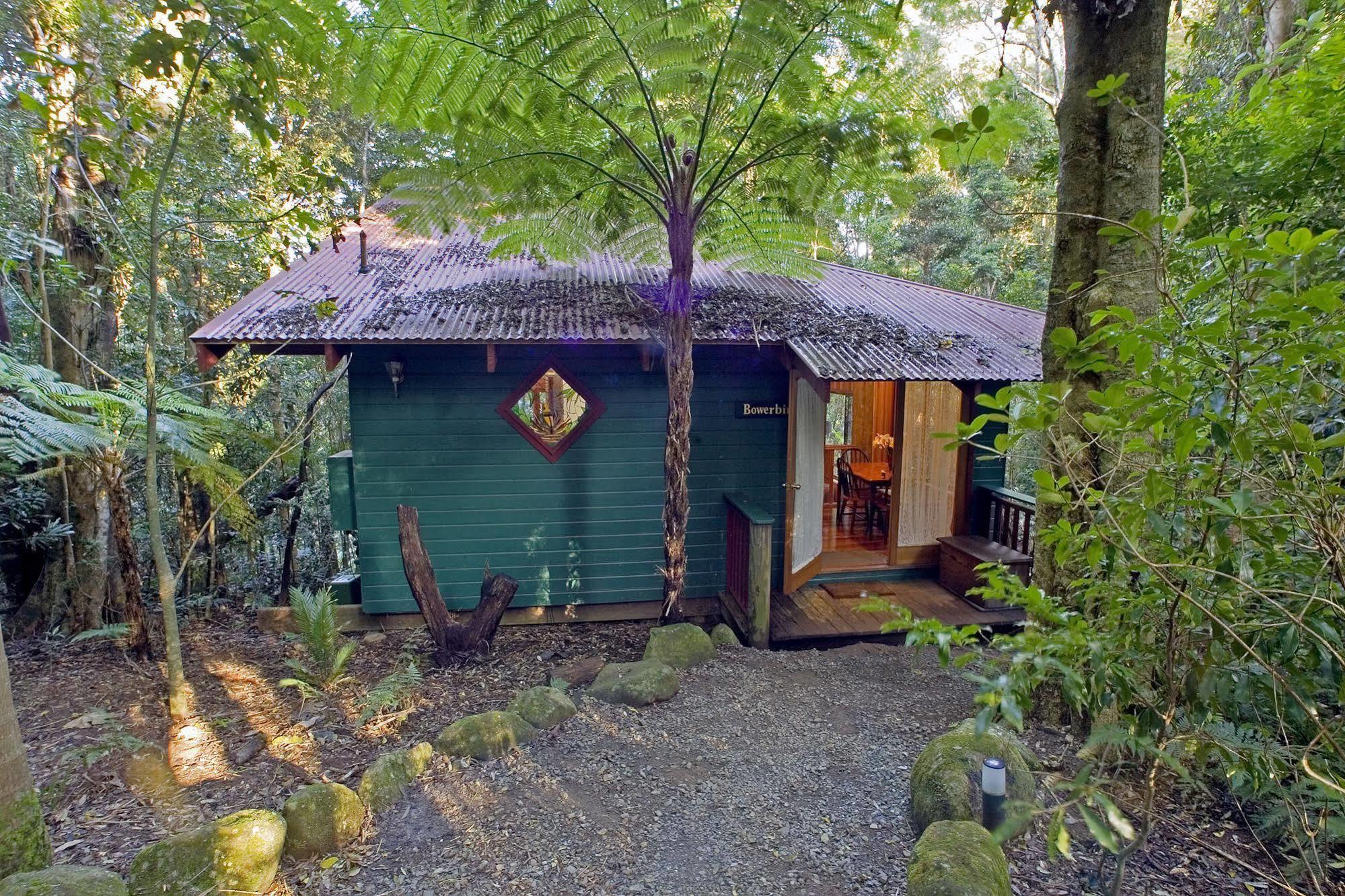 Springbrook Lyrebird Retreat Vila Exterior foto