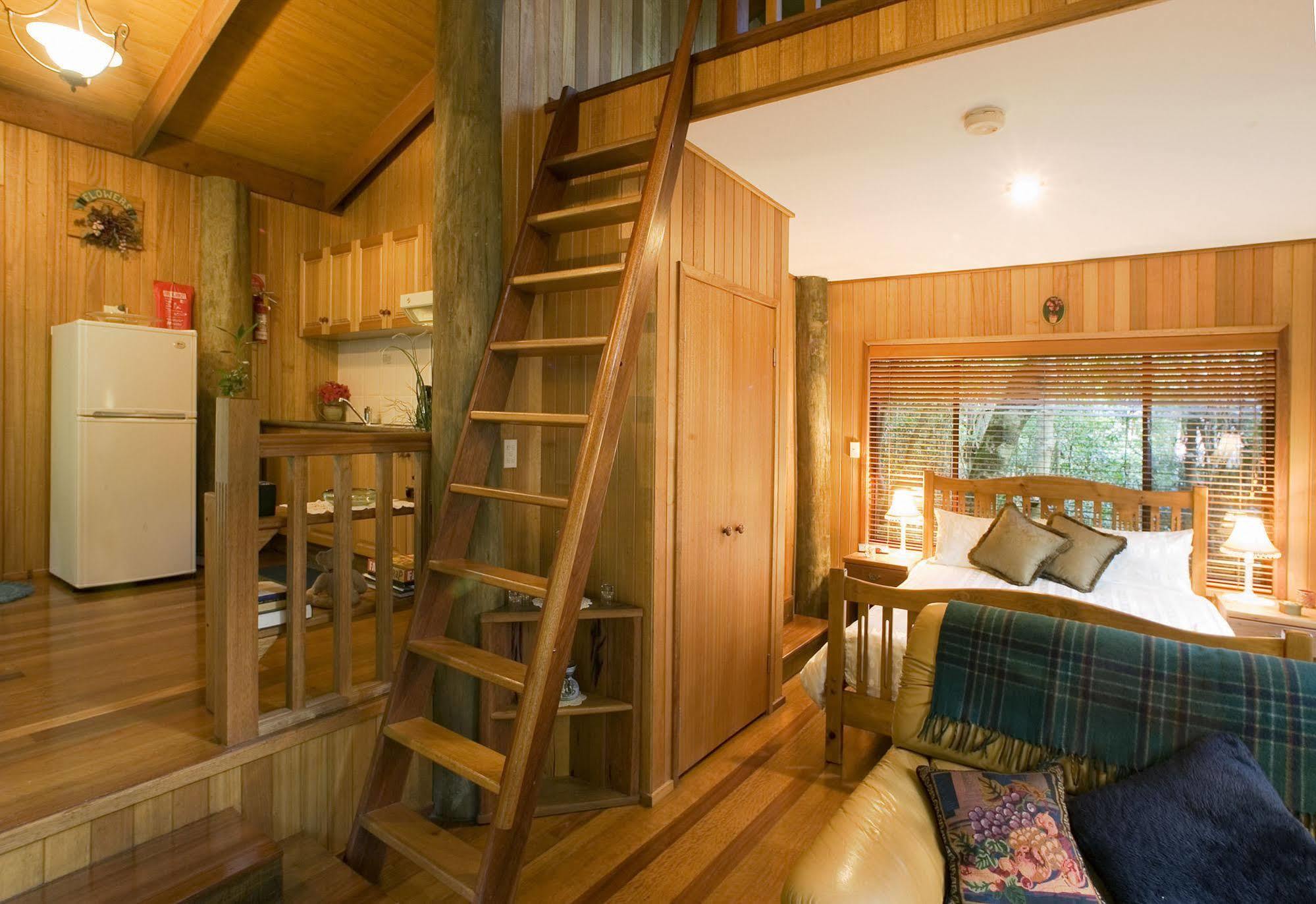 Springbrook Lyrebird Retreat Vila Exterior foto