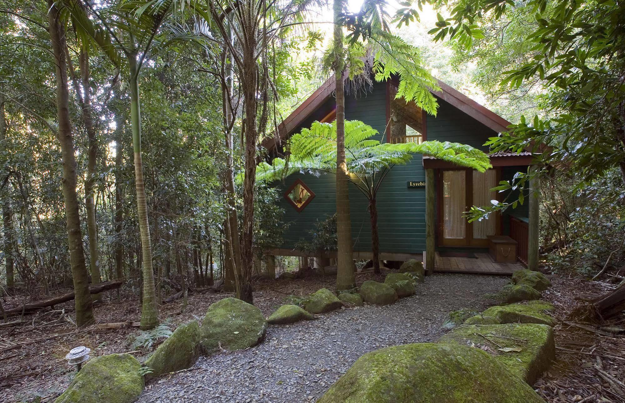 Springbrook Lyrebird Retreat Vila Exterior foto