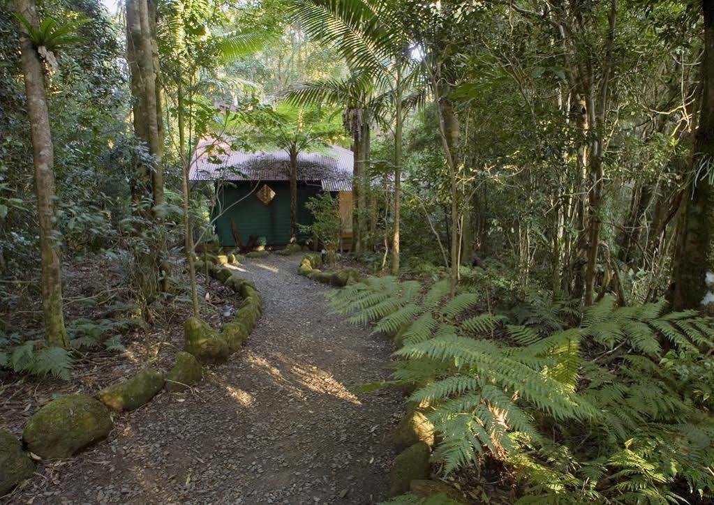 Springbrook Lyrebird Retreat Vila Exterior foto