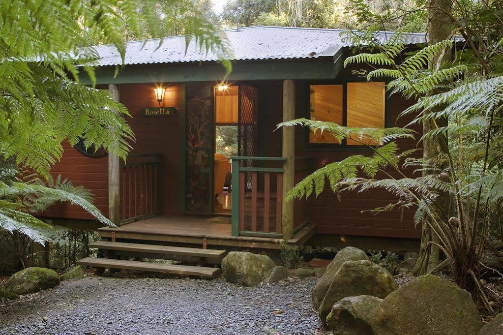 Springbrook Lyrebird Retreat Vila Exterior foto