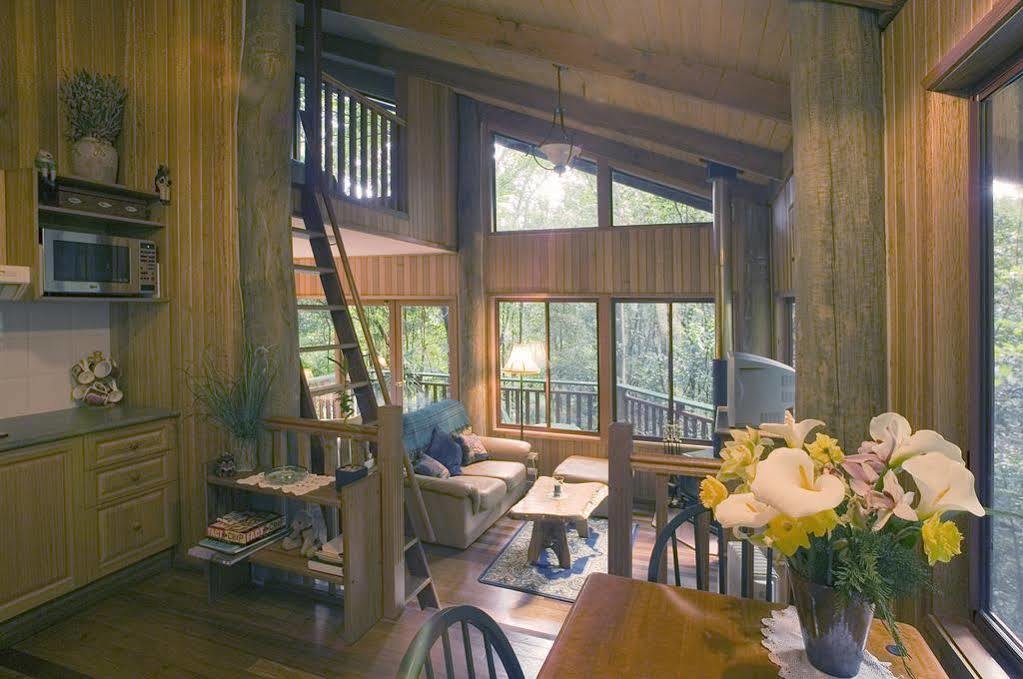 Springbrook Lyrebird Retreat Vila Exterior foto